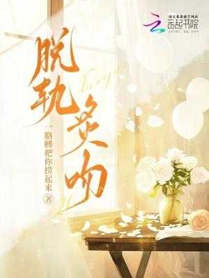 脱轨免费阅读全文
