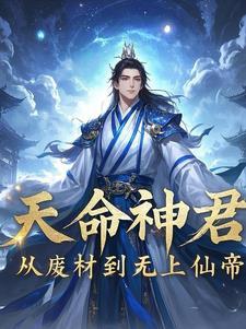 天命神婿百科