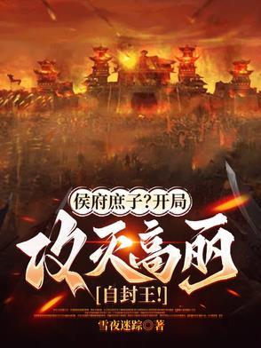 侯府庶媳奋斗记