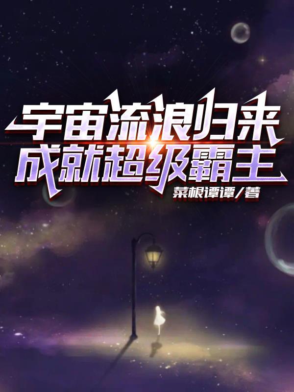 流浪宇宙mod