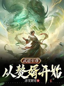 武道至尊从赘婿开始