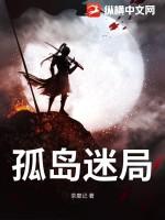 孤岛迷局攻略图文