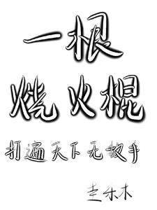 烧火棍价格
