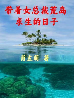 和女总裁荒岛求生