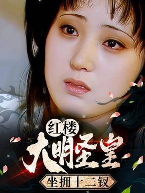 大明圣皇写的怎么样