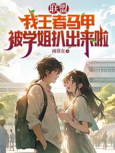 王者里面的马甲是什么意思
