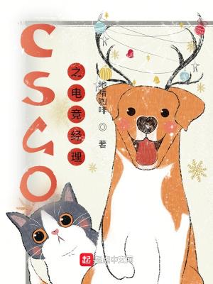 csgo电竞项目