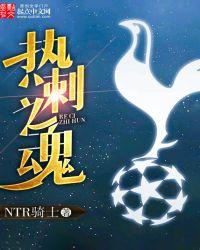 热刺之魂TXT免费阅读