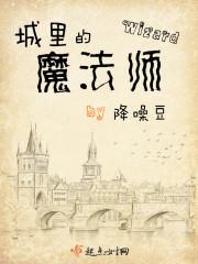 城里的魔法师杜正一