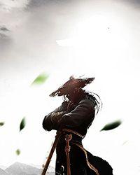 综武开局拜师雄霸