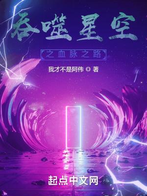 吞噬星空之血脉之路笔趣趣