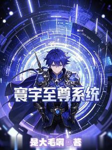 寰宇至尊系统百度百科