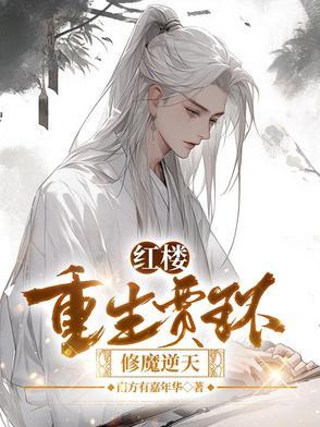 重生红楼贾敷