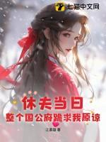 休夫免费全本