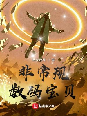 数码宝贝标准