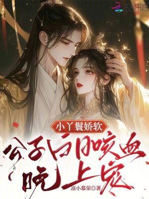 小丫鬟大少爷
