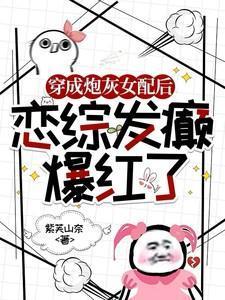 穿成炮灰女配的已完结