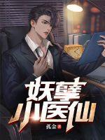 妖孽小医仙1
