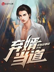 弃婿当道免费阅读全文