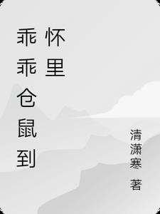 小仓鼠在