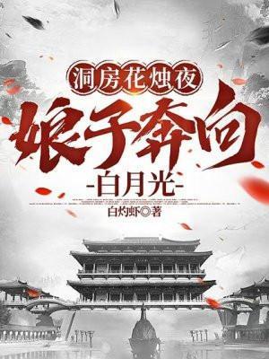 洞房花烛夜古风
