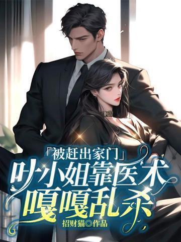 下一章叶小姐